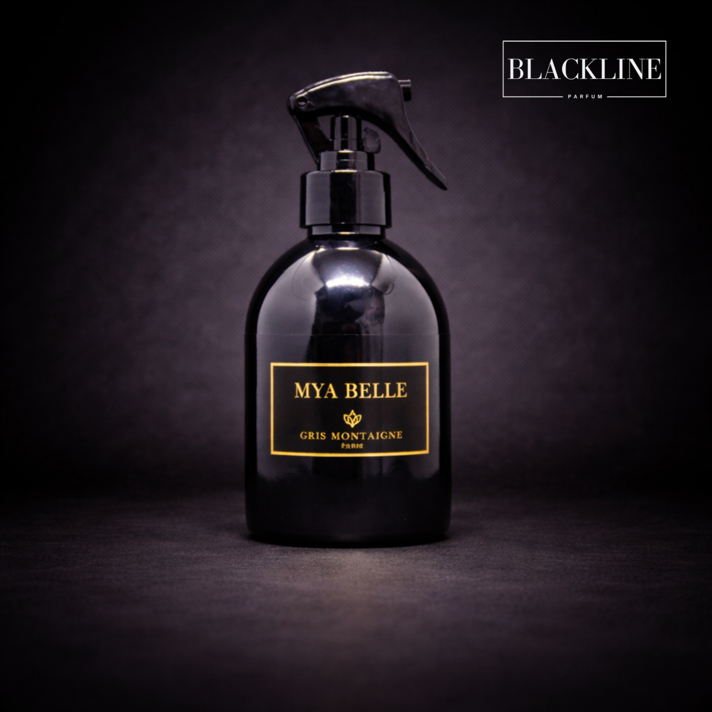 Spray Mya Belle GRIS MONTAIGNE 250ML