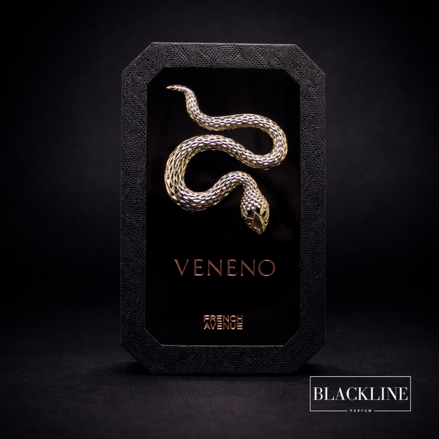 Veneno FRENCH AVENUE 100ML Mixte