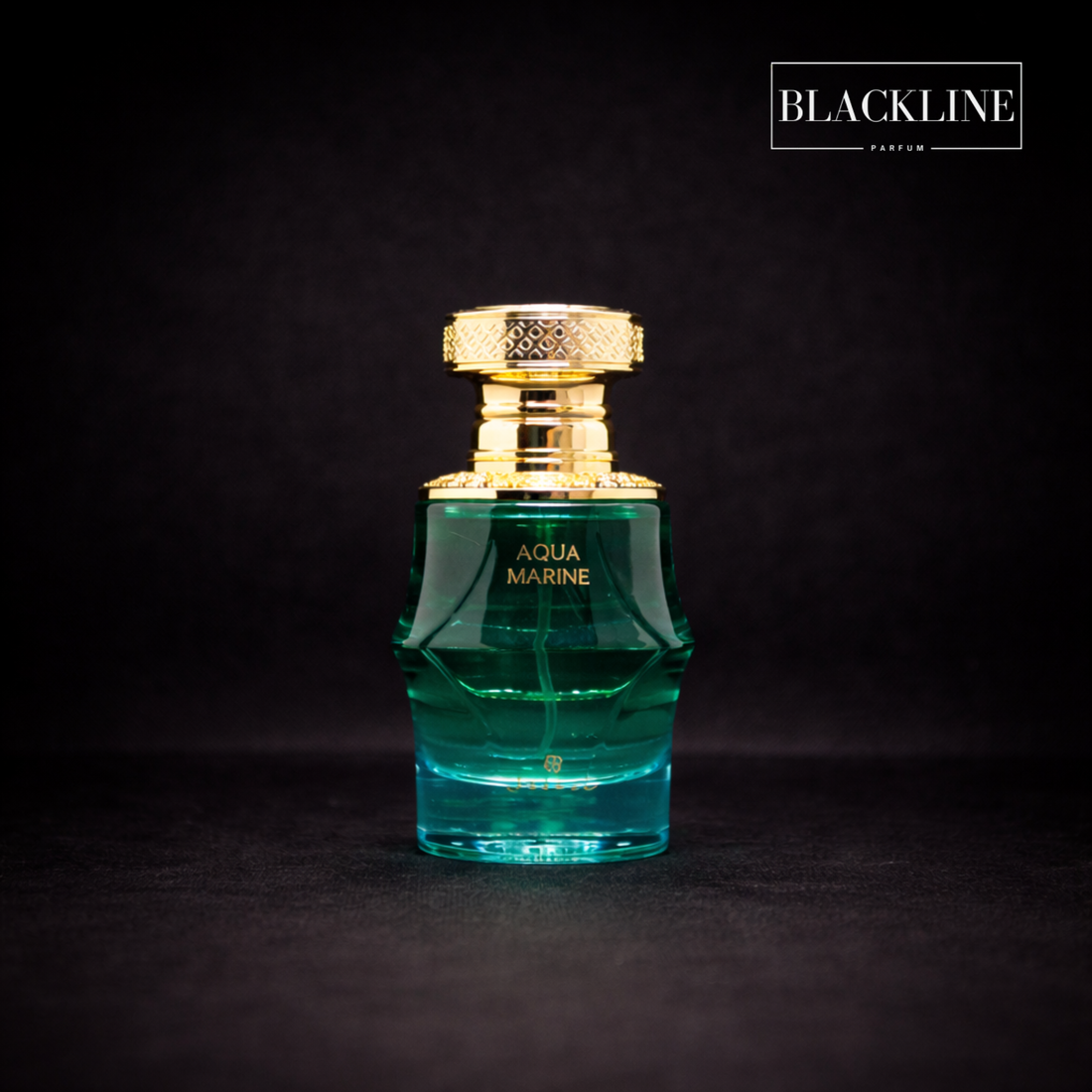 Aqua Marine Saleel 100 ml, eau de parfum mixte