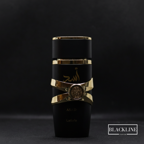 Asad Lattafa 100 ml homme - BLACKLINE PARFUM