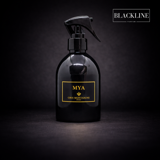 Mya GRIS MONTAIGNE 250ML
