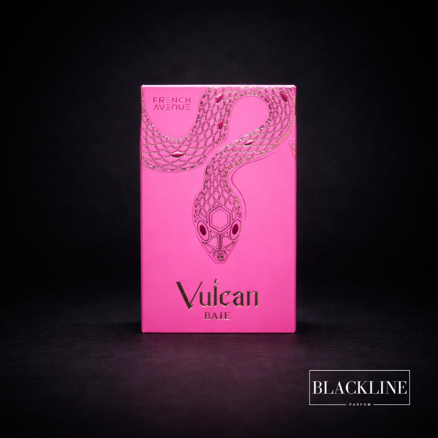Vulcan Baie FRENCH AVENUE 100ML Mixte